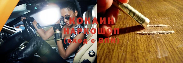сатива Балахна