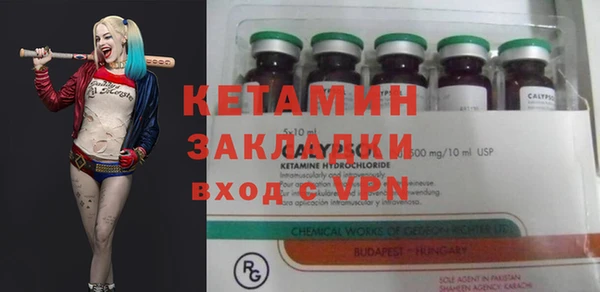 сатива Балахна