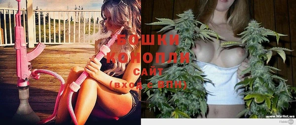 прущие крисы Арсеньев
