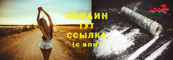 прущие крисы Арсеньев