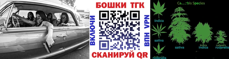 Бошки Шишки планчик Купино